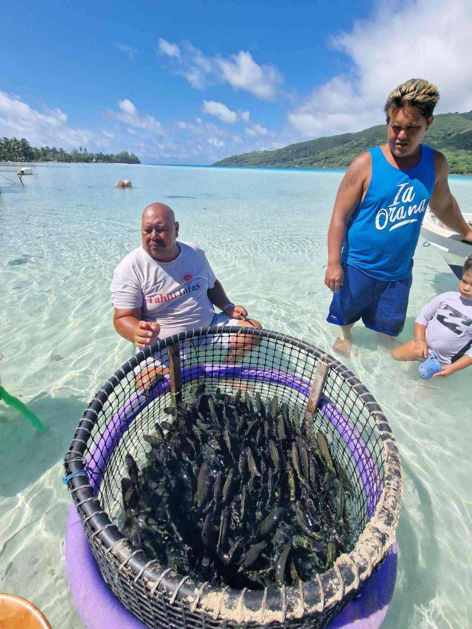 Mahana Tua Lodge Huahine Fare Extérieur photo