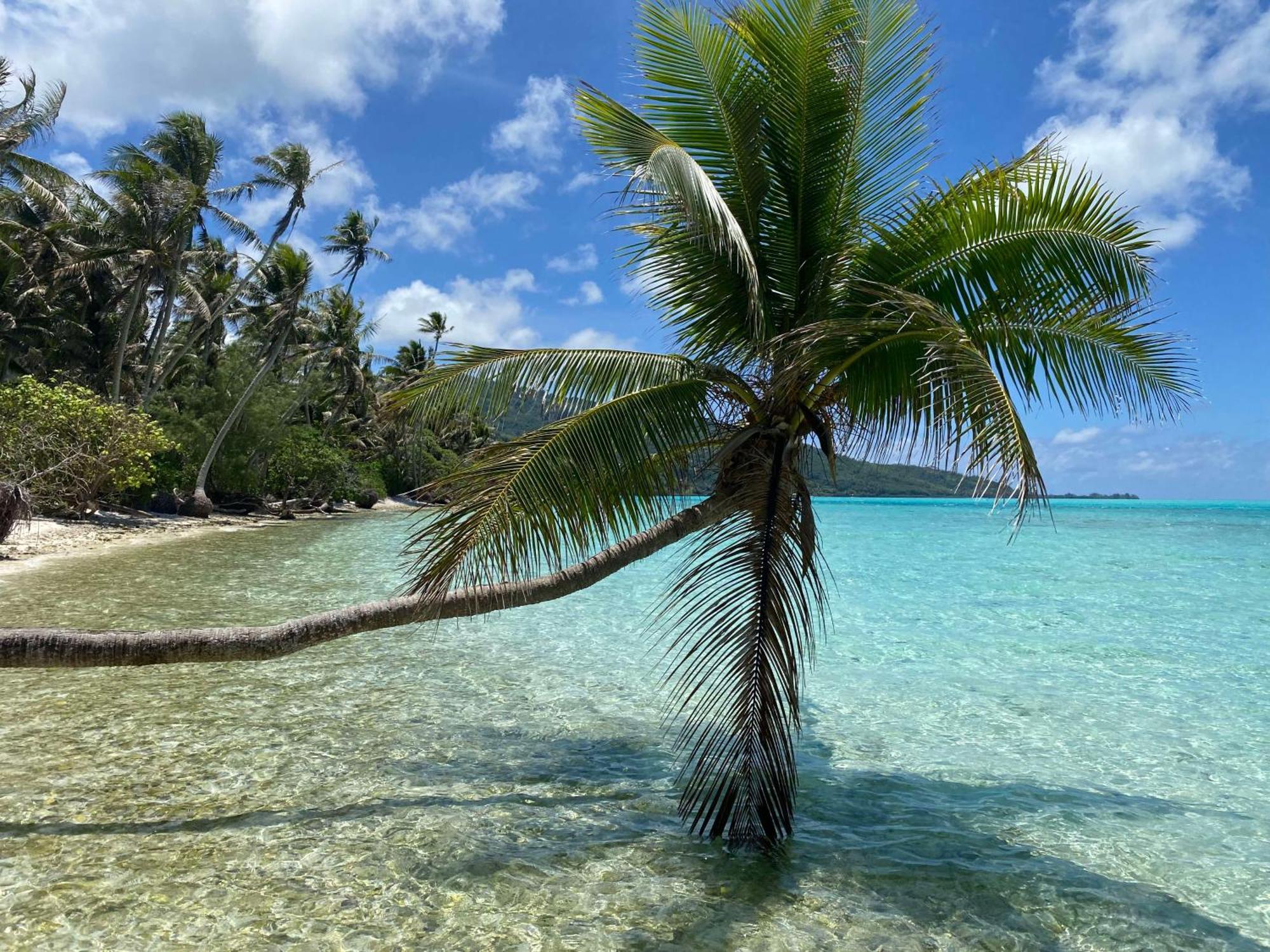 Mahana Tua Lodge Huahine Fare Extérieur photo